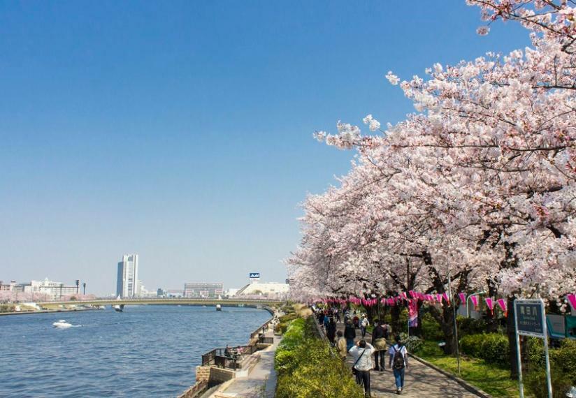 近くに隅田川があり、水辺や公園が整備され、都心にいながら自然を身近に感じられます！