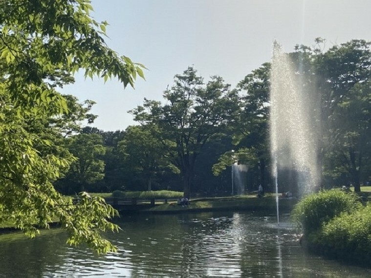 公園 都心にありながら広大な緑地を有し、都会のオアシスとして東京都民の憩いの場となっています。