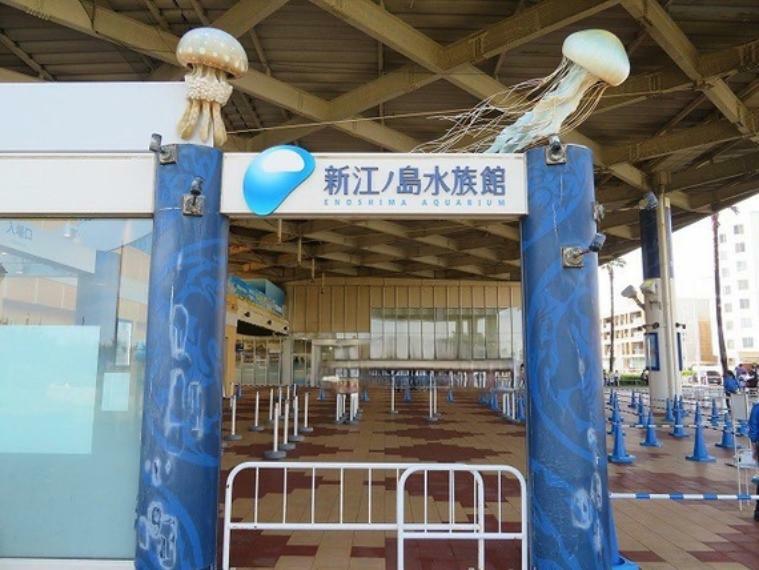 新江ノ島水族館まで徒歩3分（約240m）