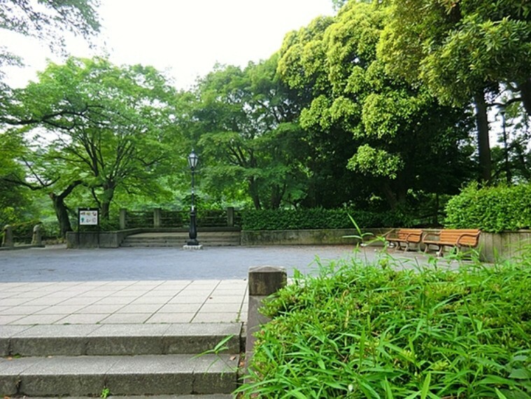 公園 ここからまっすぐ東京タワーが見えます。都内有数の桜の名所。ボートにも乗れます。