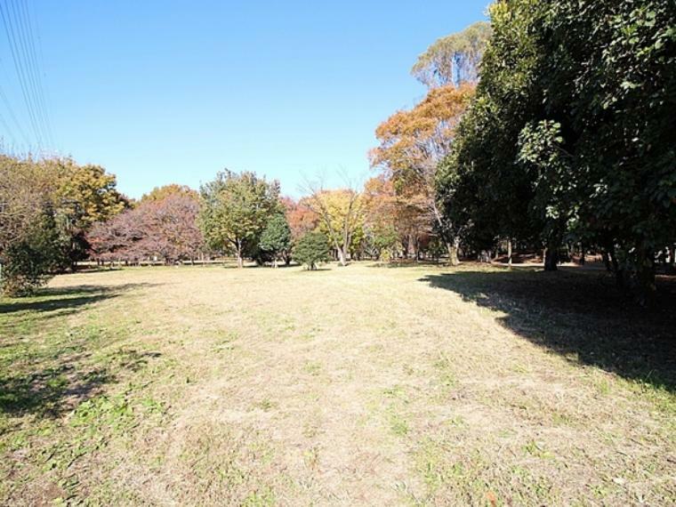 公園 都立小金井公園 ドックラン施設やBBQ広場、サイクリングにお花見。子供たちに大人気の「ふわふわドーム」や「そりゲレンデ」丸一日たっぷり遊べちゃう楽しい都立公園です。【入園料】無料　【駐車場】1時間300円　425台