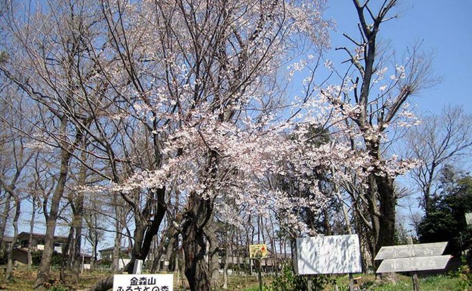 公園 【公園】金森山市民の森まで1665m