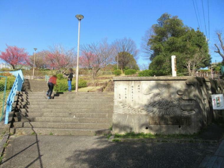 公園