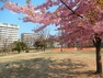 公園 福岡中央公園