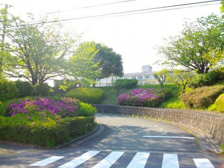 小学校 多摩市立 西落合小学校