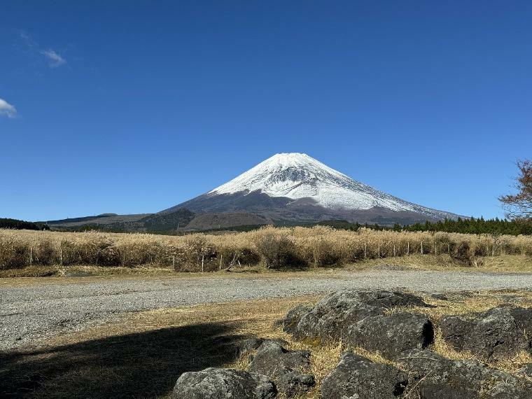 眺望 周辺からは綺麗な富士山を望むことが出来ます。この景色を見るだけでも価値がある、そんなエリアです。
