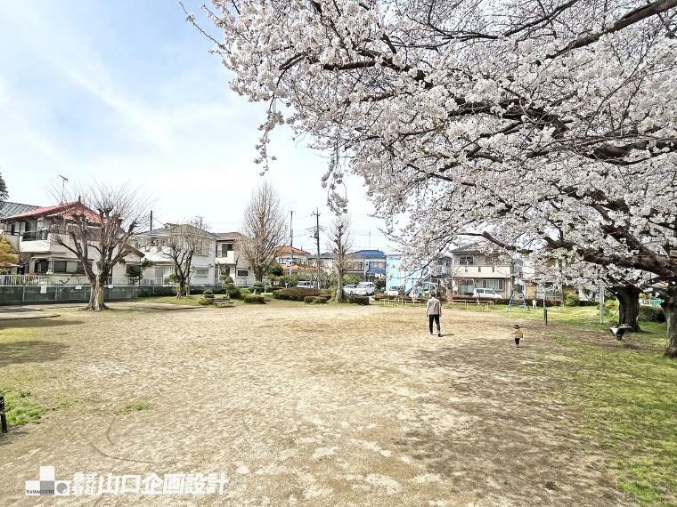 公園 向原第二公園  春には見事な桜を楽しめます。