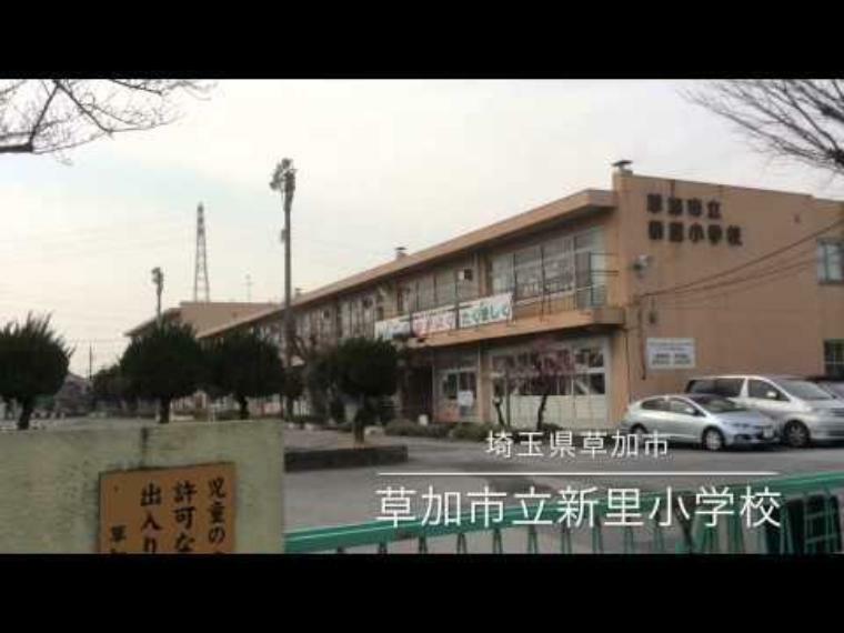 小学校 草加市立新里小学校