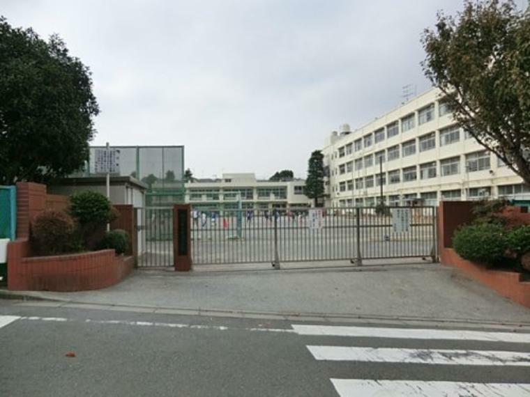 小学校 【小学校】横浜市立中沢小学校まで1256m