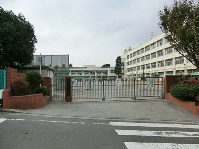 小学校 【小学校】横浜市立中沢小学校まで1256m