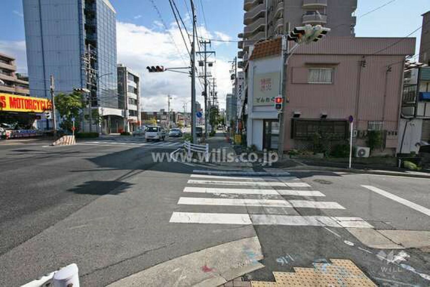 現況写真 敷地前面道路