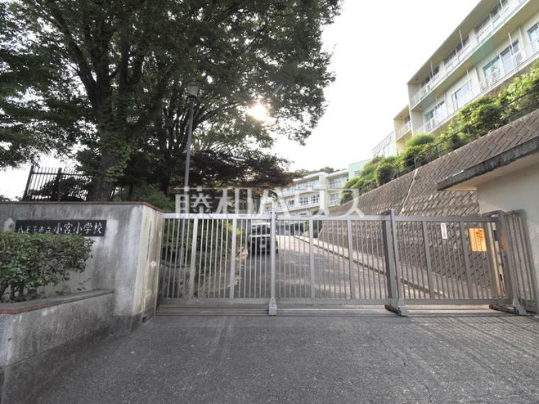 小学校 八王子市立小宮小学校