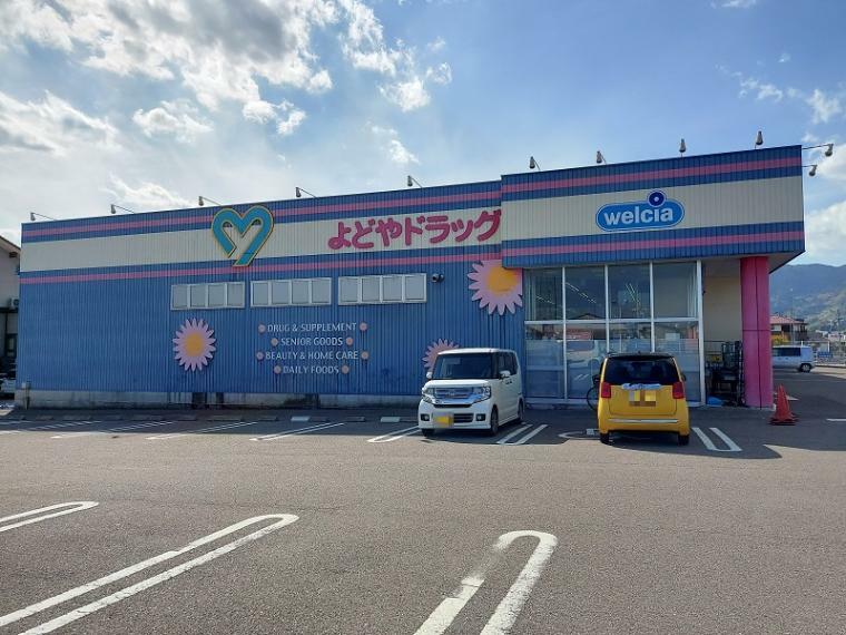 ドラッグストア よどやドラッグ高岡店