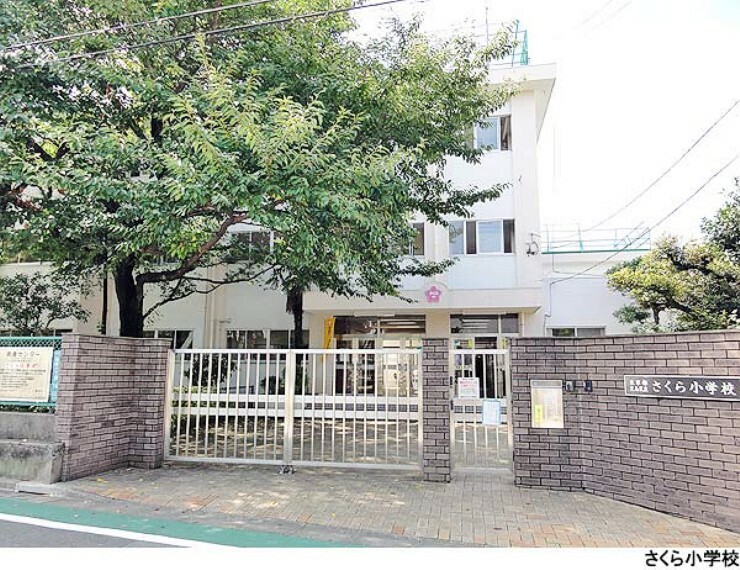 小学校 さくら小学校