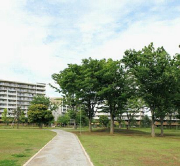 公園 【公園】福岡中央公園まで801m