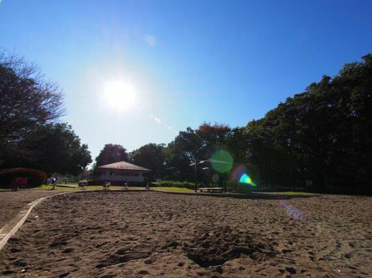 公園 大泉中央公園まで約2000m