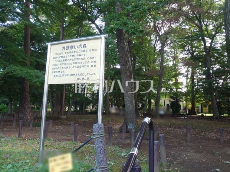 公園 井頭憩いの森