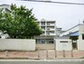 幼稚園・保育園 長津田保育園500m