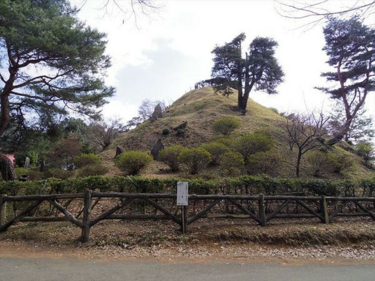 公園 荒幡の富士