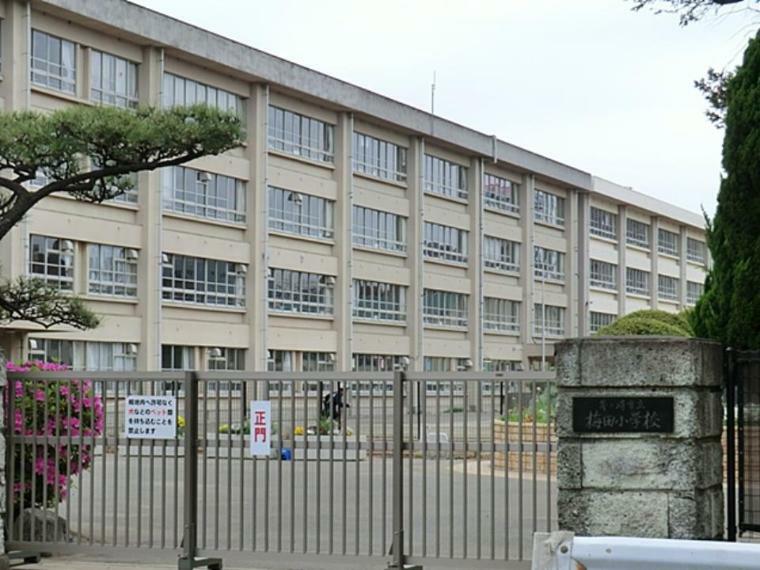 小学校 茅ヶ崎市立梅田小学校