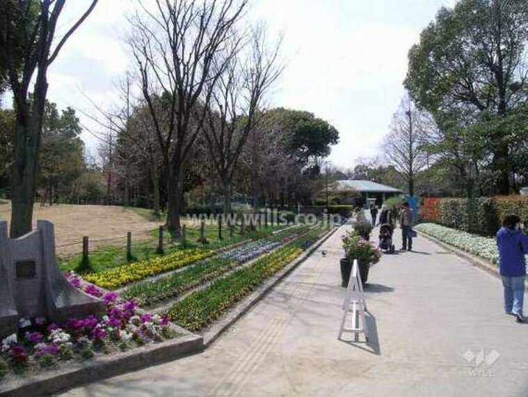 公園 上坂部西公園の外観