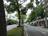 敷地南側の通りは山手幹線。街路樹が多く、緑豊かです。