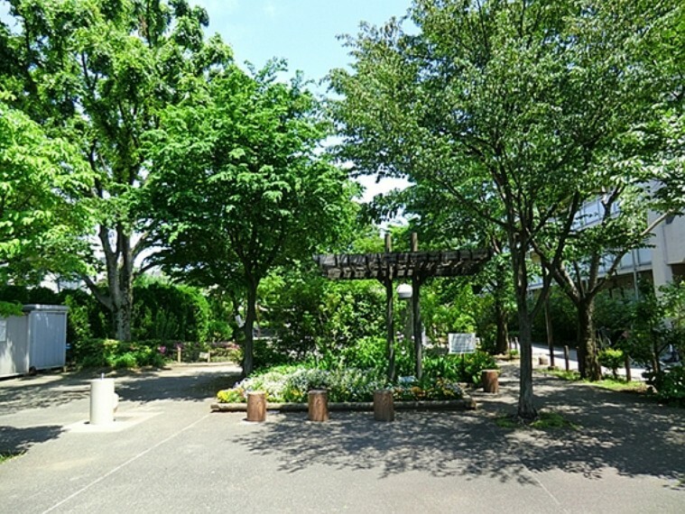 公園 桜上水公園