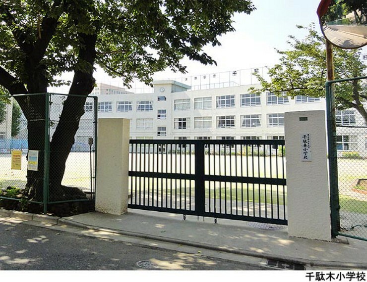 小学校 千駄木小学校