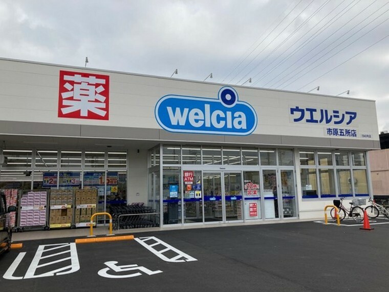 ドラッグストア ウエルシア市原五所店