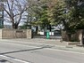 中学校 さいたま市立岩槻中学校 700m