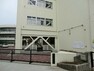 小学校 横浜市立蒔田小学校　680m