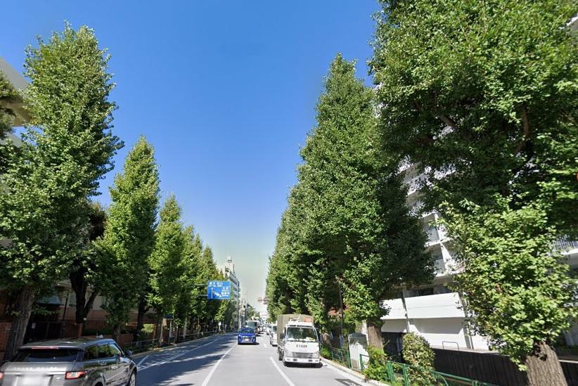 外観写真 東京メトロ副都心線「雑司が谷駅」最寄り。緑豊かな目白通り沿いに立地します。