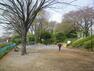 公園 美しが丘第七公園（●横浜市の中でもひときわ緑の潤いに満ちた青葉区。公園数や街路樹数は、市内でも一番多く、街のいたるところで緑を感じます。公園がすぐそばにある、恵まれた立地です●）