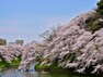 公園 ソメイヨシノやヤマザクラなどが植えられ、桜の名所としても知られています。初夏には新緑、秋の紅葉など、四季折々の風景をボートに乗って眺めることができます。