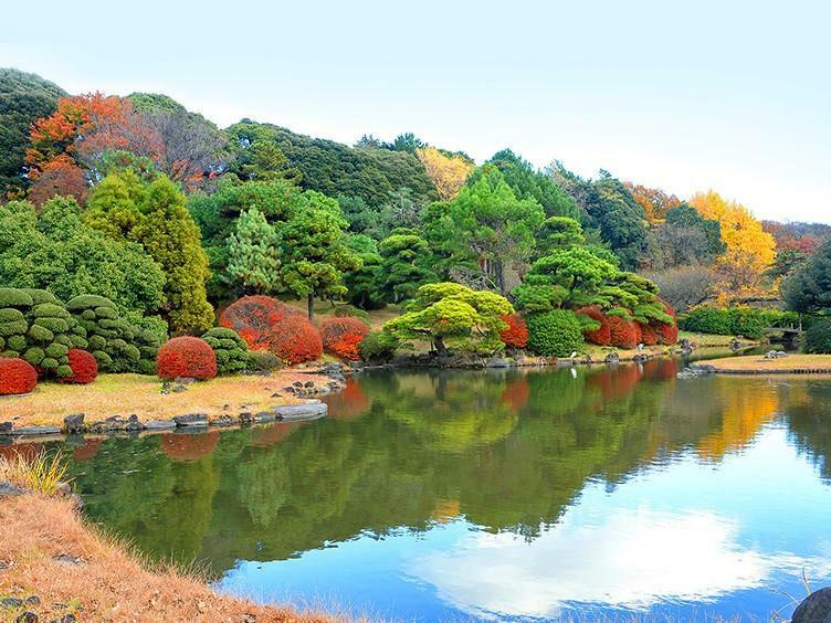 公園 小石川植物園　徒歩13分です。