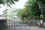 小学校 【小学校】厚木小学校まで795m