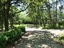 公園 富岡八幡公園 とても広く芝生がきれいです。芝生もちゃんと整備されています。