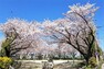 公園 小坂井中央公園