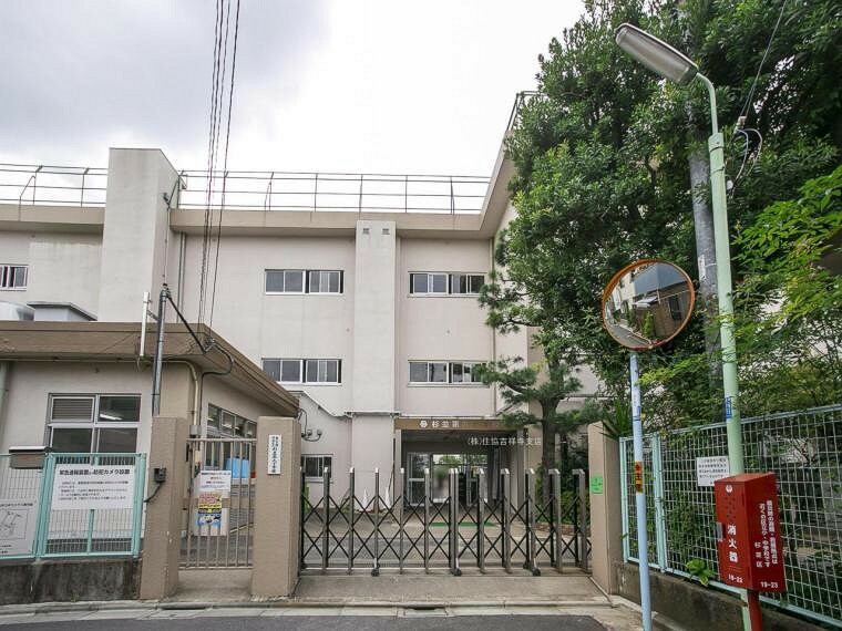 小学校 杉並区立杉並第九小学校（512m）