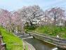 周辺の街並み 春になると川に沿って約500mの桜並木に花が咲き誇る絶景のお花見スポット「新河岸川」