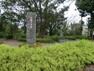 公園 県立保土ケ谷公園