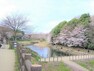 公園 泉の森