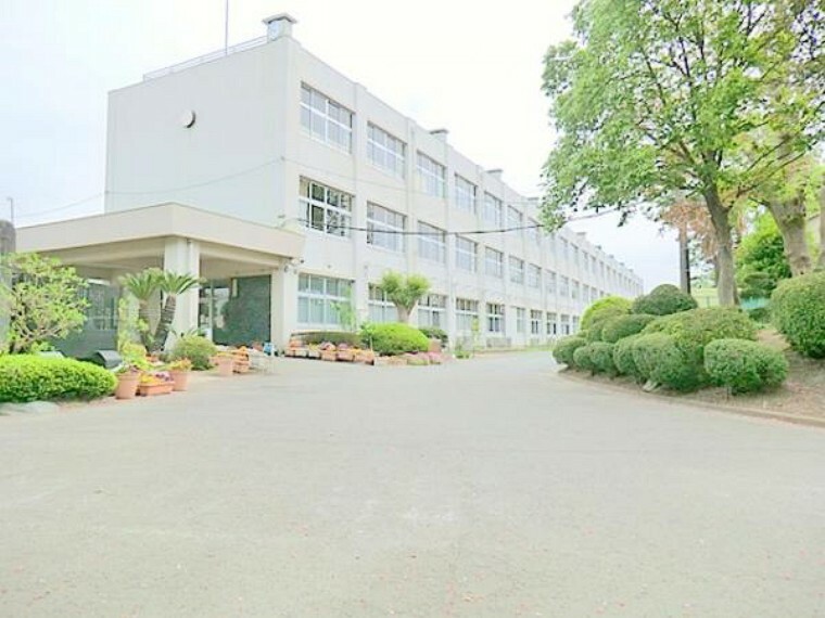 小学校 【寒川町立寒川小学校】　寒川町中央に位置し小高い丘の上に位置します。 寒川で最初の小学校です。桜も樹齢が古く立派で満開の時期は圧巻です