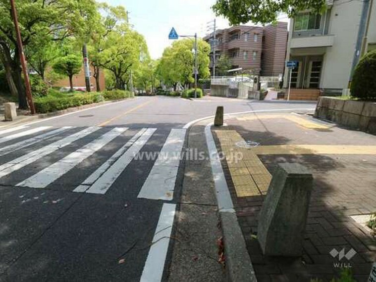 現況写真 敷地東側の前面道路