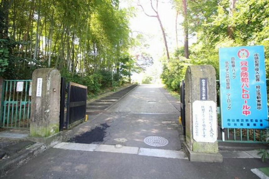 小学校 向山小学校　