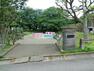 公園 上原公園 上原公園は藤沢市にある住宅街の十分な広さの公園。昭和後期につくられた公園です。公園の設備には水飲み・手洗いがあります。