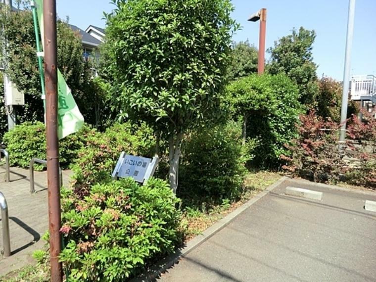 公園 桜森いこい公園 桜森いこい公園は大和市にある住宅街のコンパクトな公園です。公園の設備には水飲み・手洗い場があります。