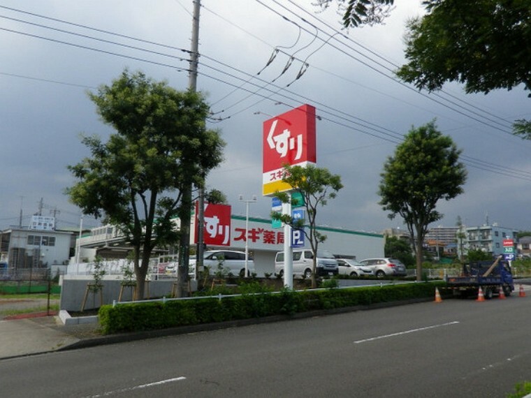 ドラッグストア スギ薬局南町田店