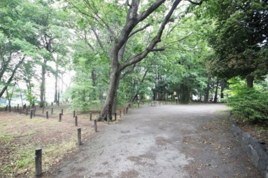公園 【公園】こぐれの森緑地まで411m