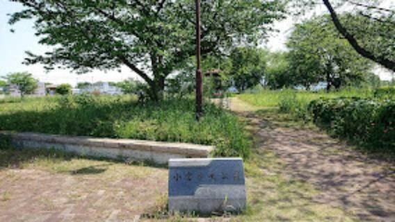 公園 【公園】小宮中央公園まで1119m